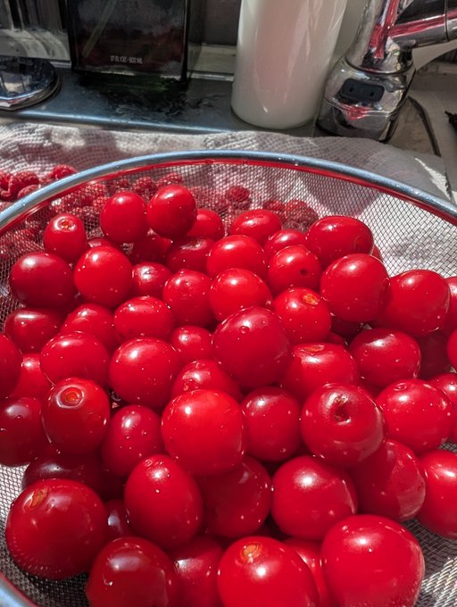 A metal strainer filled with fresh, bright red cherries sitting on a kitchen counter.