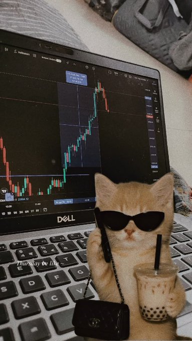 A humorous meme of an orange cat wearing black sunglasses, sitting at a Dell laptop displaying trading charts, holding a phone to its ear and a cup of bubble tea, with the text 'Thursday be like'.