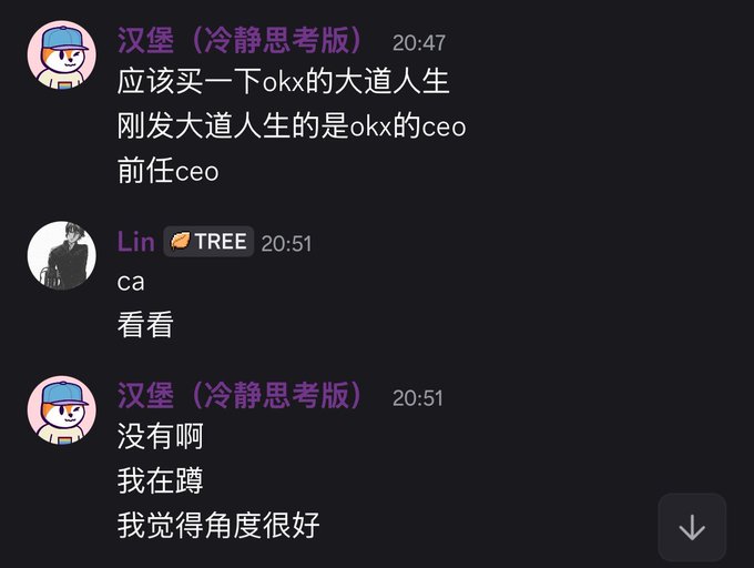 A chat log between users '汉堡（冷静思考版）' and 'Lin 🍞 TREE' discussing purchasing 'okx' and opinions on angles.