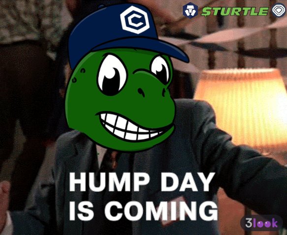 The image features a cartoon green frog wearing a blue baseball cap with the word "C" written on it. The frog appears to be smiling and has a thumbs-up sign below its head. Below this, there are three lines of text that read "Hump Day is coming!".
