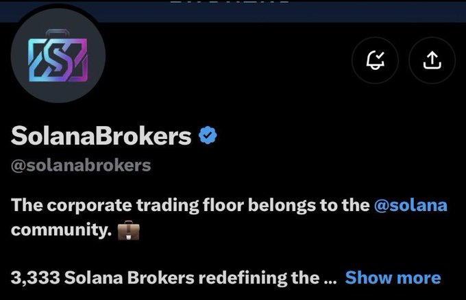 A profile page for the verified X (Twitter) account 'SolanaBrokers' (@solanabrokers) stating 'The corporate trading floor belongs to the @solana community 💼' and '3,333 Solana Brokers redefining the...' with a 'Show more' option.
