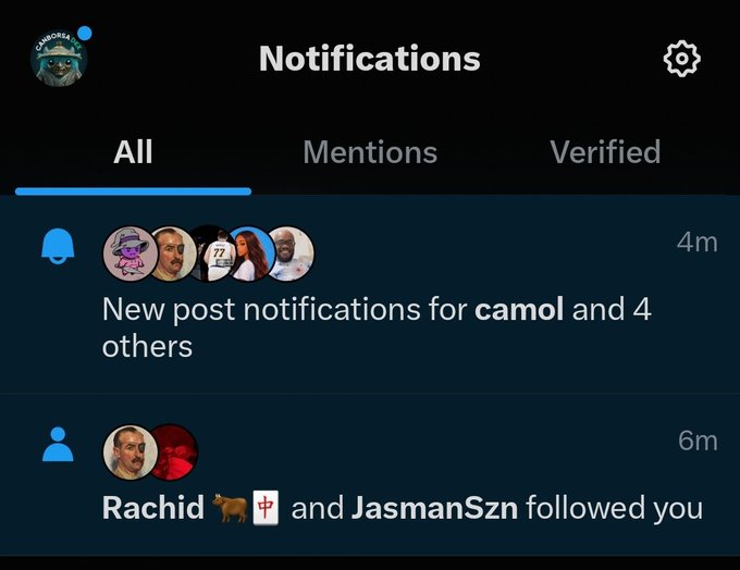 A mobile app notifications screen showing 'New post notifications for camol and 4 others' from 4m ago, and 'Rachid and JasmanSzn followed you' from 6m ago.