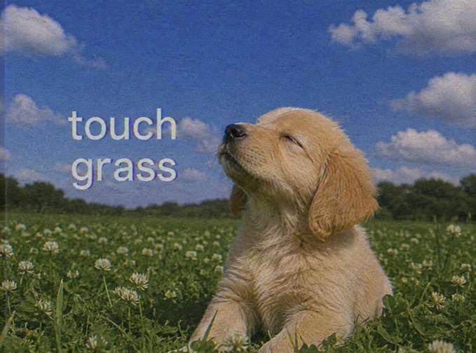 A golden retriever puppy sits in a clover-filled field with its eyes closed, overlaid with the white text "touch grass".