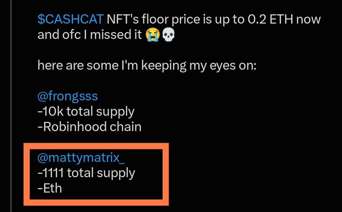A user highlights the @mattymatrix_ NFT project in an orange box, emphasizing its 1,111 total supply and Ethereum chain, matching the post's note that this is the project they've decided to watch. The screenshot also shows they were lamenting missing $CASHCAT's rise to 0.2 ETH floor price and mentioning @frongsss (10k supply, Robinhood chain) as another project on their radar.