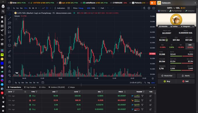A cryptocurrency trading interface on dexscreener.com displaying a CATE/SOL price chart with candlestick patterns, volume bars, and an active transaction feed showing recent buy and sell orders.