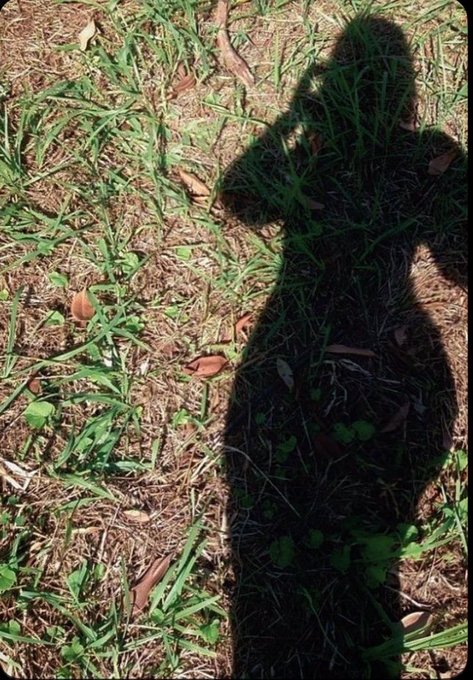 A shadow of a person taking a photo is cast on a patch of grass and dirt, with the low sun angle creating a relaxed weekend vibe that complements the post's cheerful greeting about crypto moves.