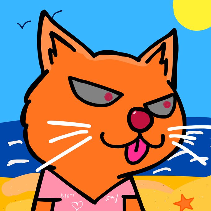 A cartoon drawing of a smiling orange cat with red eyes at the beach, wearing a pink top with 'NOT GAY' and a heart symbol written on it.
