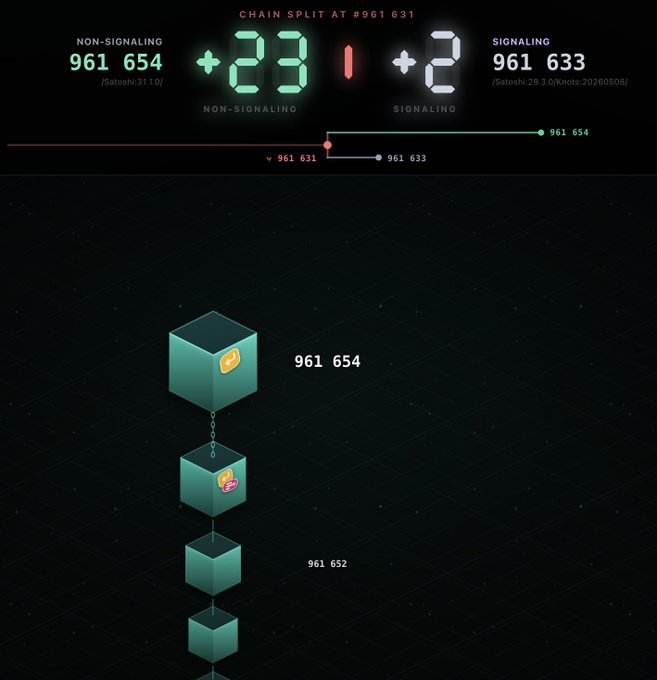 A blockchain chain split visualization at block #961,631 shows a 22 vs. 1 split between non-signaling chain (961,654, satoshiv:31.1.0) and signaling chain (961,633, satoshiv:29.3.0/Knots:20260508), with a 3D cube block visualization below.