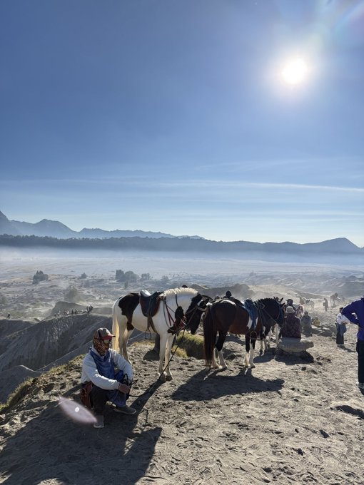 A sunny mountain landscape featuring a person sitting next to two saddled horses, overlooking a vast, misty caldera filled with settlements.