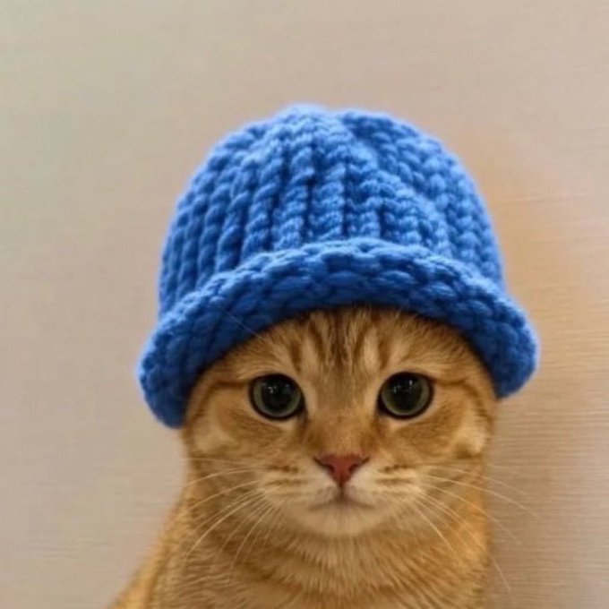 A close-up portrait of an orange tabby cat wearing a chunky blue knitted beanie.