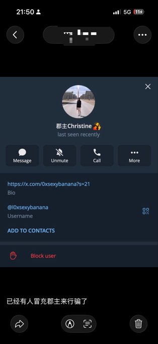 Mobile screenshot of a Twitter/X profile for user '0xsexybanana' with a bio link to x.com/0xsexybanana?s=21 and Chinese text at the bottom indicating someone is impersonating the account for fraud.