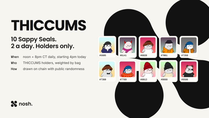 A promotional graphic titled 'THICCUMNS' advertising '10 Sappy Seals, 2 a day. Holders only' with details about distribution times and 10 cartoon seal NFT avatars displayed, branded by 'nosh'.