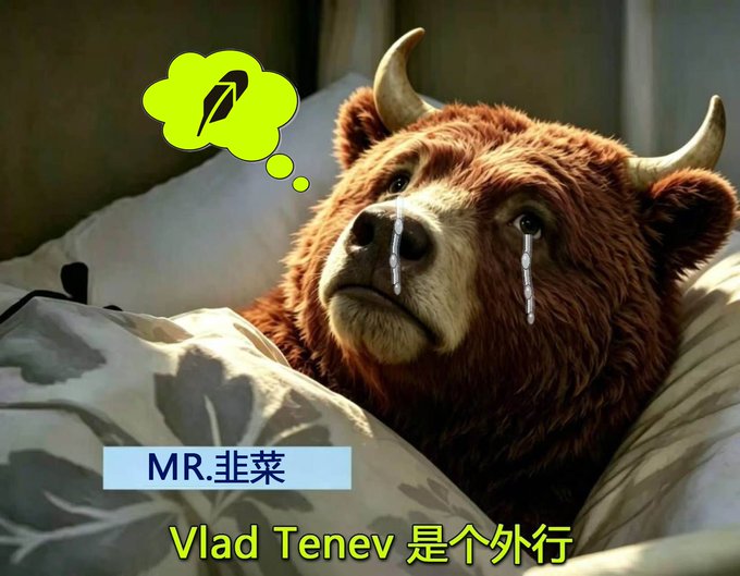 A crying brown bull lies in bed with a thought bubble showing a falling stock chart, while Chinese text "MR.韭菜" (MR. Leek) appears alongside the caption "Vlad Tenev 是个外行" (Vlad Tenev is an amateur)—visually representing the post's metaphor of a "leek" (a term for retail investors who get harvested by the market) lamenting Robinhood's Vlad Tenev as a market-wrecking amateur, even in his diminished state.