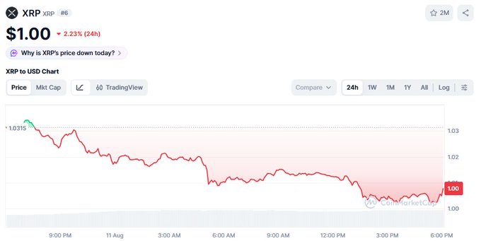 A financial chart for XRP showing a price of $1.00, down 2.23% over 24 hours, with a red line indicating a downward trend over the 24-hour period.