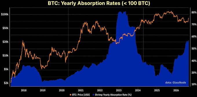 The chart shows BTC: Yearly Absorption Rates (<100 BTC) from GlassNode, tracking Bitcoin's price (orange line) against the yearly absorption rate of wallets holding under 100 BTC (blue area) from 2018 through 2026, with the absorption rate spiking notably above 80% during 2022-2023. The post highlights the recent surge in absorption rates among smaller holders, reflecting their aggressive buying during the dip below $67k.