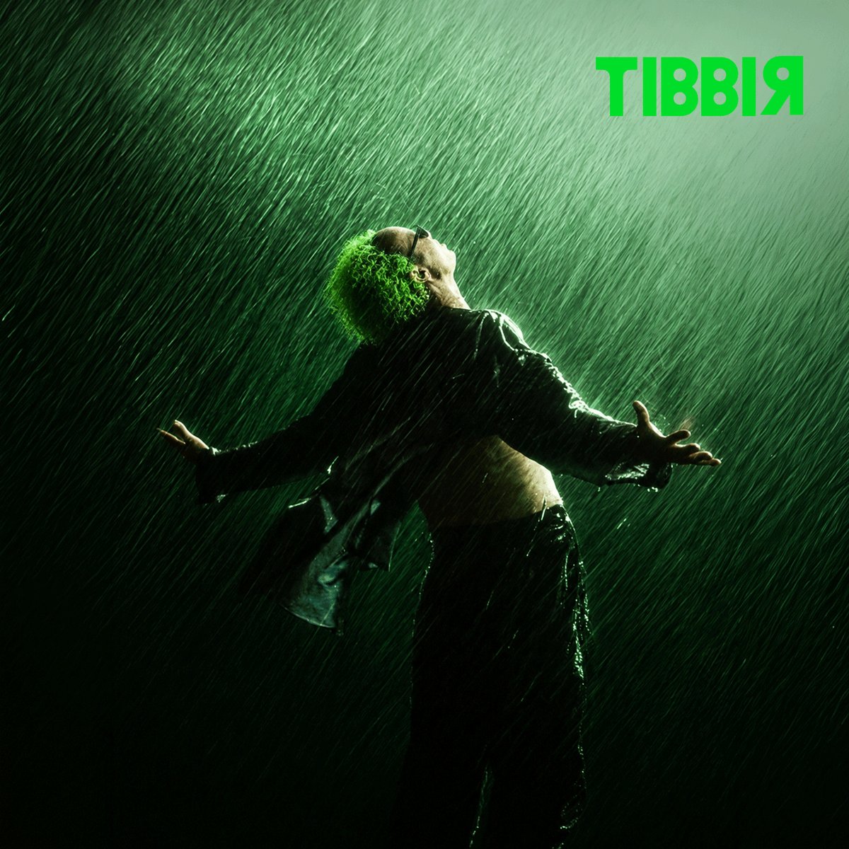 The image features a person with green hair standing in the rain, wearing black pants and a jacket. The background shows a dark green color that matches their hair color, creating a cohesive look. The caption of the image reads "░ Day 190 of posting new stuff until ░tibbir is out of stealth. ░ redemption". This suggests that the person with green hair has been posting content for quite some time and has recently gained some recognition or attention due to their unique appearance.