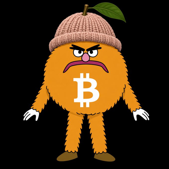 A cartoon orange fuzzy creature with an angry expression wears a pink knit beanie and displays a white Bitcoin (₿) logo on its chest against a black background.