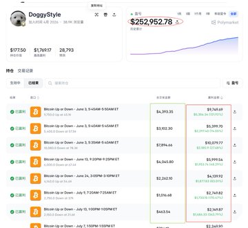 A screenshot of a Polymarket betting profile showing the account 'DoggyStyle' with a portfolio value of $252,952.78 and P&L of $17.50, alongside a list of active bets on 'Bitcoin Up or Down' for various dates in June/July with positive ROI shown in green.