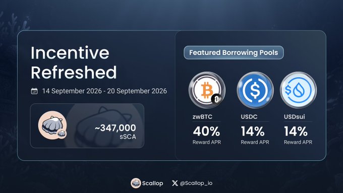 A promotional banner for Scallop.io titled 'Incentive Refreshed' (14–20 September 2026) featuring ~347,000 sSCA and 'Featured Borrowing Pools' with reward APRs: zwBTC 40%, USDC 14%, and USDsui 14%.