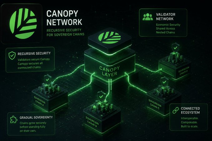 The image shows a detailed diagram of a network infrastructure, with various green cubes representing different components or nodes within the system. There are also several green lines connecting these cubes, symbolizing the connections between them. The main focus of the image is a black square containing the text "Canopy Network" and "Validated". This square serves as a visual representation of the network's structure and purpose.