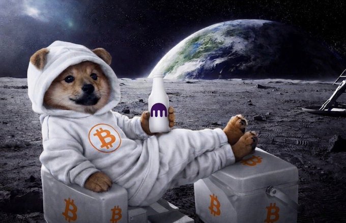 A Shiba Inu dog in a white Bitcoin hoodie relaxing on a Bitcoin-branded cooler on the moon's surface, holding a milk bottle, with Earth visible in the background.