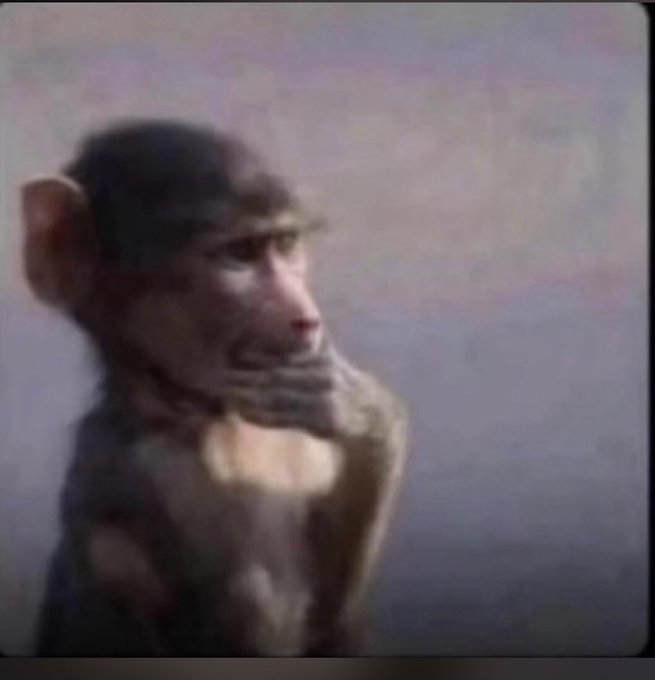 A blurry, vintage-style image of a chimpanzee or monkey in profile, appearing contemplative against a muted purple-gray background.