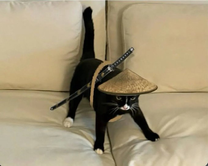 A black and white cat on a leather couch wearing a straw conical hat and a harness with two swords (katanas) strapped to its back.
