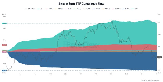 A crypto comparison chart titled "Bitcoin Spot ETF Cumulative Flow" tracking BTC Price against nine ETFs (IBIT, FBTC, ARKB, BITB, BTCO, EZBC, BRRR, HODL, BTCW, GBTC) from late 2023 through July 2024, showing that institutional flow remains net positive with IBIT leading at roughly 730,000 BTC and only a modest pullback visible in the most recent period—supporting the post's view that accumulation by ETF investors is still dominating over capital outflows.