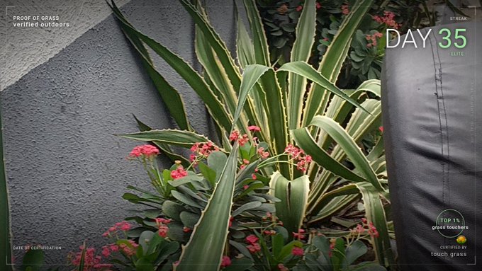 Lush green variegated agave plants and pink flowering crown of thorns grow against a textured gray wall, framed with "DAY 35 ELITE," "PROOF OF GRASS verified outdoors," and "TOP 1% grass touchers" badges celebrating 35 days of touching grass.