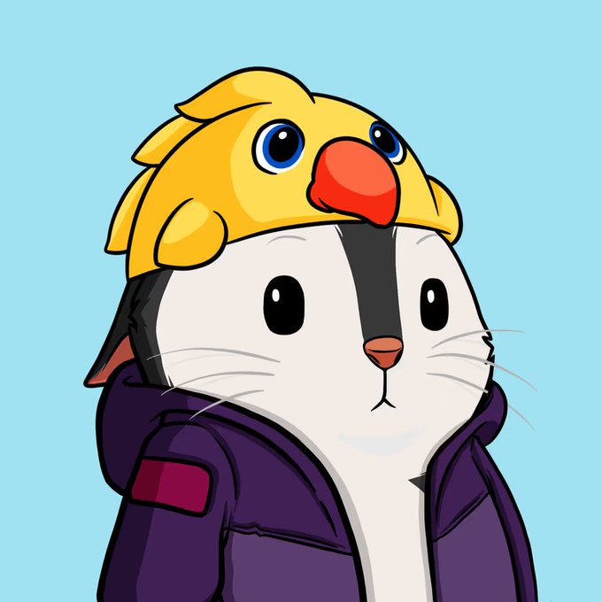 A digital illustration of a white and black hamster wearing a purple hoodie, with a yellow bird perched on its head.