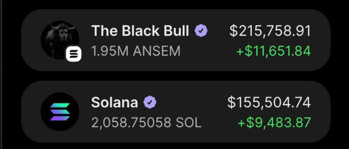 The image displays a portfolio tracker showing two holdings: "The Black Bull" with a balance of $215,758.91 (1.95M ANSEM, up $11,651.84) and "Solana" valued at $155,504.74 (2,058.75058 SOL, up $9,483.87), both marked with verification checkmarks and displayed on a dark background. This aligns with the post celebrating a $5,000-to-$200,000 gain on $ANSEM and a 10 SOL giveaway to followers.