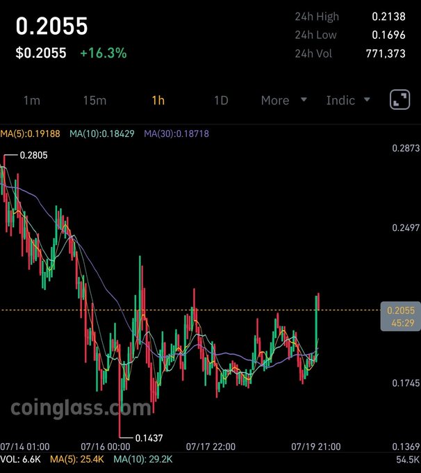 A Coinglass candlestick chart showing a cryptocurrency at $0.2055, up 16.3%, with 24h high of 0.2138 and low of 0.1696.