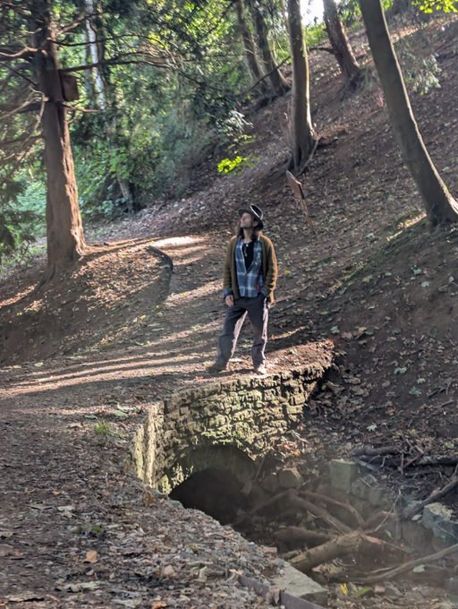 A person in a hat stands on a forest trail looking up at the trees near a small stone bridge.