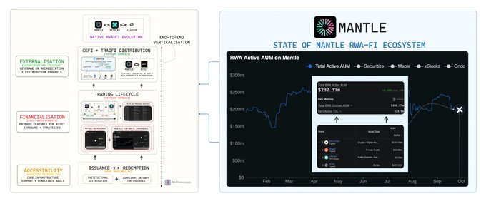 An infographic detailing the 'STATE OF MANTLE RWA-FI ECOSYSTEM,' including charts for Total Active AUM, Securitize, Maple, xBlocks, and Ondo, alongside diagrams of Externalisation, Trading Lifecycle, and Accessibility.