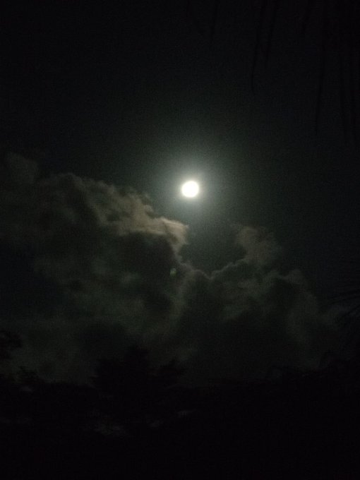 A nighttime photo of a bright full moon partially obscured by dark, billowing clouds, with the silhouette of tree branches visible in the foreground.