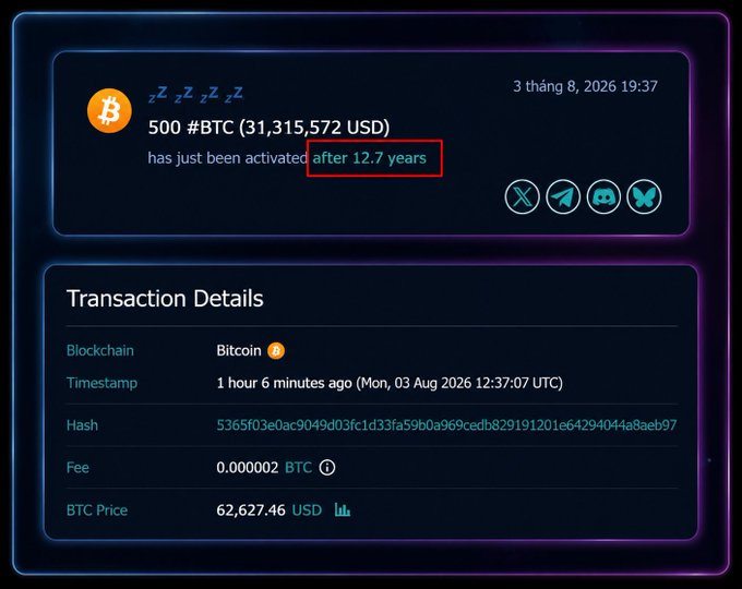 A Bitcoin transaction alert showing 500 BTC ($31,315,572 USD) activated after 12.7 years, with details including a timestamp of August 3, 2026, a BTC price of $62,627.46, and a highlighted 'after 12.7 years' note.