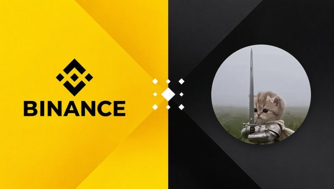 A split graphic featuring the Binance logo on a yellow background on the left and an armored kitten holding a sword on a black background on the right.