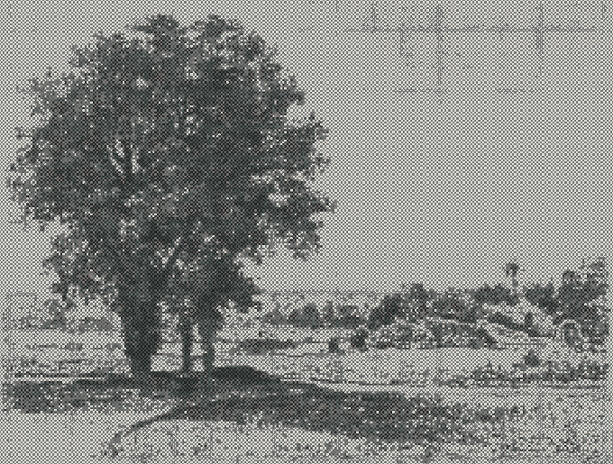 A grainy, black and white halftone photograph showing a large tree in a barren landscape with mountains in the distance.