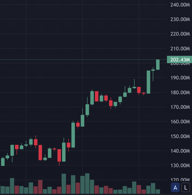 A candlestick chart shows the $STONK cryptocurrency surging to a peak of $202.43M, breaking above the $200M resistance level after recovering from a low around $130M. The accompanying post celebrates the price recovery and questions whether top holders sold, noting that long-term holders remained patient through the volatility.