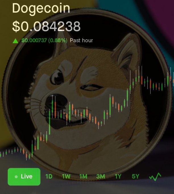 The image shows a coin featuring an illustration of a dog, likely a Shiba Inu or Shih Tzu breed, with details such as fur color and facial features like eyes and ears. The coin has a price tag attached, indicating that it is worth $DOGE or 0.8 coins. The text in the image states that the value of this particular coin is increasing over time. This information may suggest an upward trend for Dogecoin, which is a digital currency that gained popularity recently.