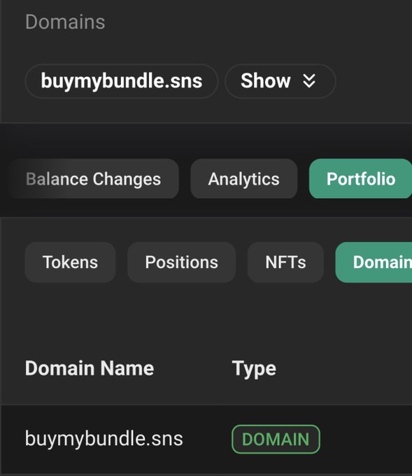 A dark-themed web interface showing a domain portfolio page with the domain 'buymybundle.sns' and navigation tabs for Balance Changes, Analytics, Portfolio, Positions, Tokens, and NFTs.