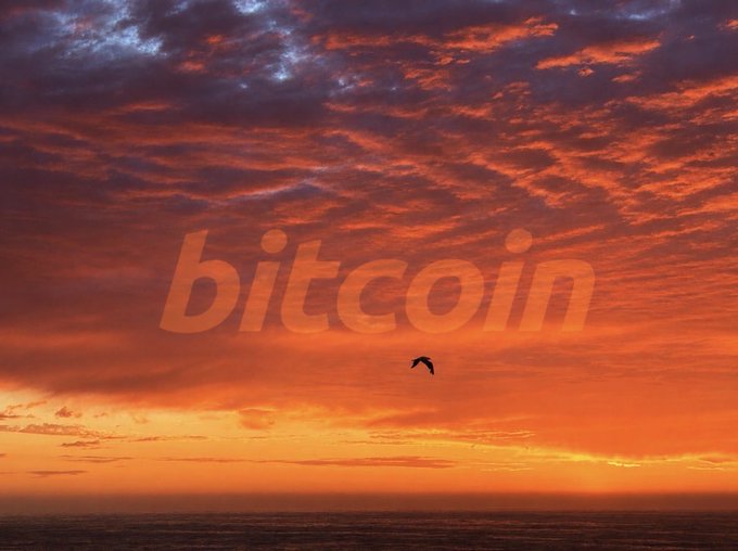 A dramatic orange and red sunset sky over the ocean with a bird in flight, overlaid with the word 'bitcoin' in large transparent letters.