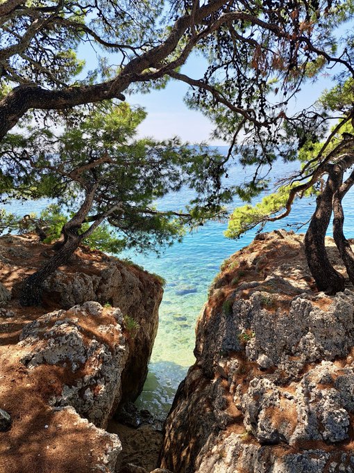 A scenic coastal view framed by twisted pine trees, looking down between two rocky outcrops toward clear turquoise water and a distant shoreline.