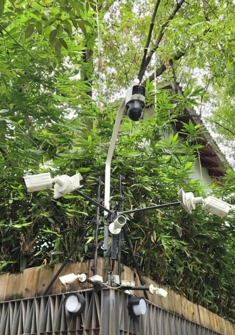An outdoor scene showing multiple security cameras and a floodlight mounted on a metal structure, surrounded by lush green foliage and trees above a corrugated metal fence.