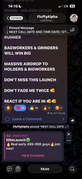 A Telegram chat screenshot showing a pinned message from 'FluffyAlpha' in the '(1121533)' chat promoting a crypto launch with text like 'RUNNER', 'BAGWORKERS & GRINDERS WILL WIN BIG', and 'MASSIVE AIRDROP TO HOLDERS & BIGWORKERS', along with an ad for 'EliteLaunch'.