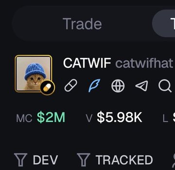A cryptocurrency trading interface displaying the token 'CATWIF' (catwifhat) with a market cap of $2M and 24-hour volume of $5.98K.