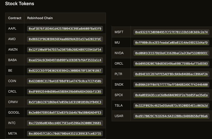 A 'Stock Tokens' table listing Robinhood Chain contract addresses for stocks including AAPL, AMD, MSFT, NVDA, TSLA, META, and others.