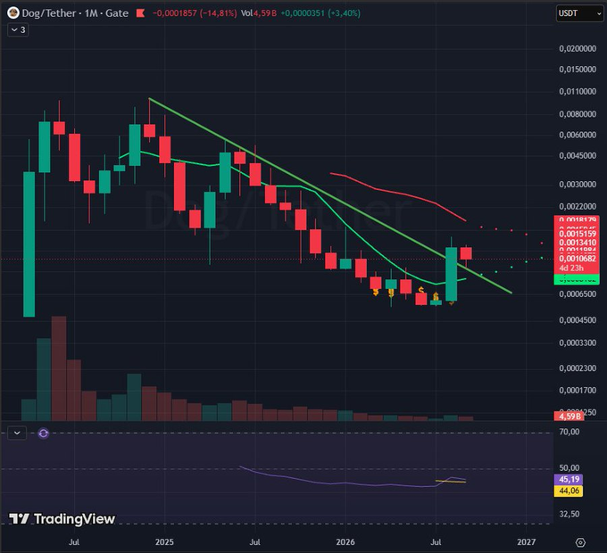 A TradingView candlestick chart for the Dog/Tether (DOGE/USDT) cryptocurrency pair on the Gate exchange, showing a significant downtrend from 2025 to mid-2027.