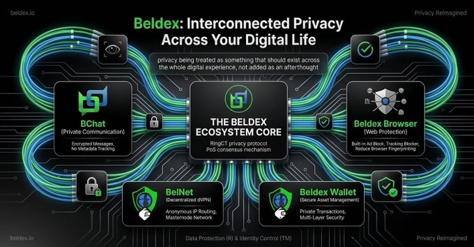 An infographic for 'Beldex: Interconnected Privacy Across Your Digital Life' displayed on beldex.io, showing the Beldex Ecosystem Core connected to BChat, Beldex Browser, BelNet, and Beldex Wallet, with the tagline 'Privacy Reimagined.'