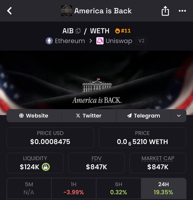 The image shows an advertisement for a cryptocurrency called Etherum, with a black background featuring a cartoon house. The caption reads "America Is Back." It appears that there is an item listed for sale at a price of $0.81, but it seems like a fake offer or an outdated listing since the actual price shown in the image is not available.